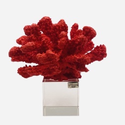 Bomboniera matrimonio Chiaraela corallo rosso medio