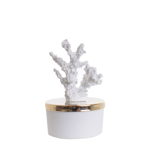 Bomboniera cresima Chiaraela candela corallo bianco bassa