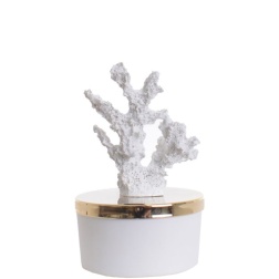 Bomboniera comunione Chiaraela candela corallo bianco bassa
