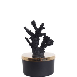 Bomboniera comunione Chiaraela candela corallo nero bassa