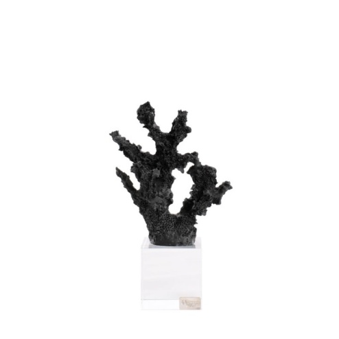 Bomboniera compleanno Chiaraela corallo piccolo nero