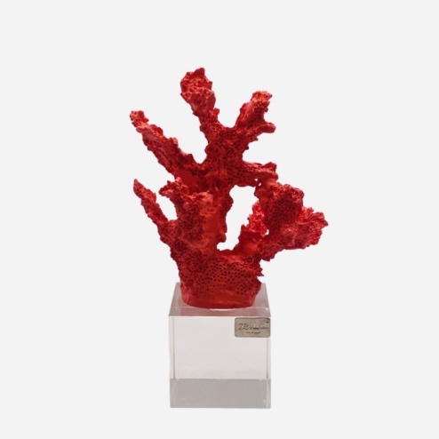 Bomboniera cresima Chiaraela corallo piccolo