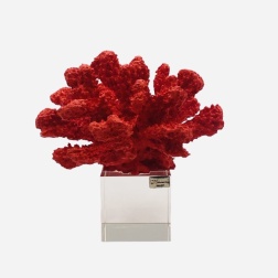 Bomboniera laurea Chiaraela corallo rosso medio